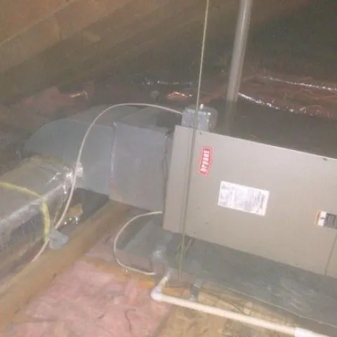 Slide of Deer Park Avenue