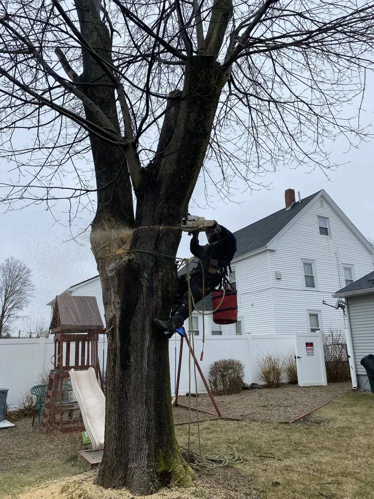 Slide of Delano Property Services