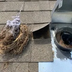 Slide of Delintz Air Duct & Dryer Vent Cleaning