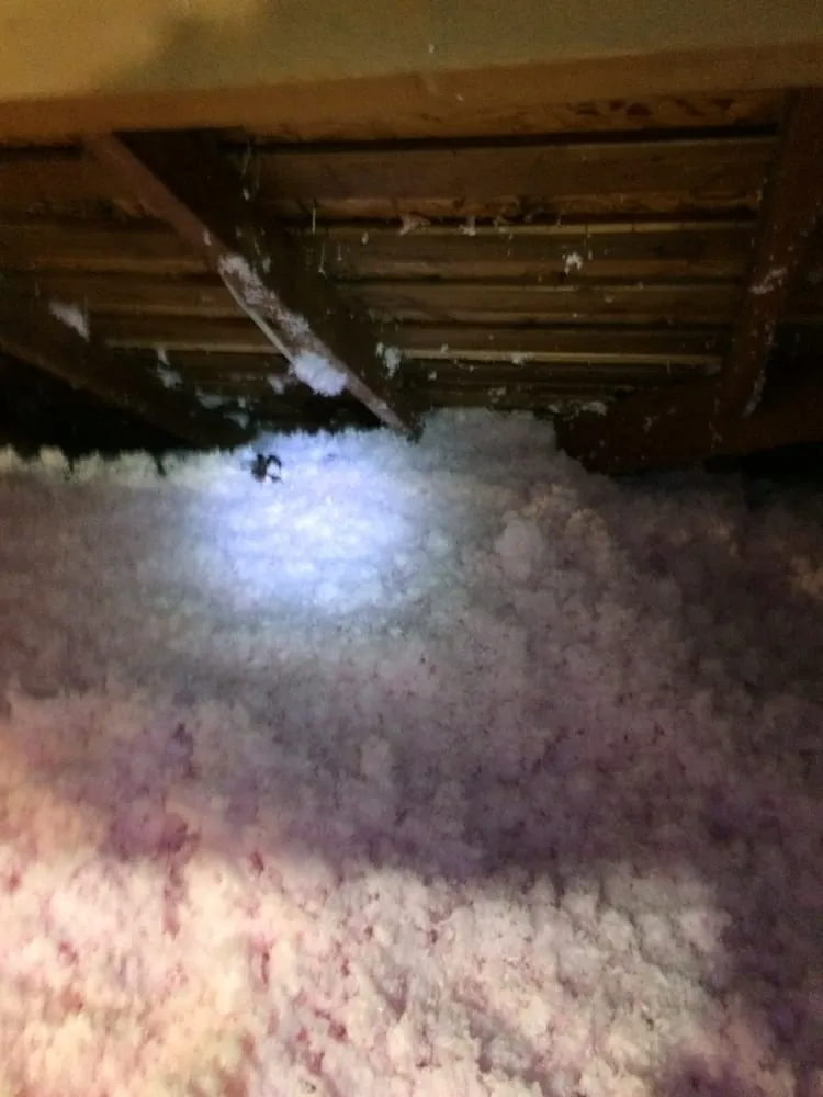 Slide of Delo Air - Kitchen Hoods, Air Balancing & HVAC