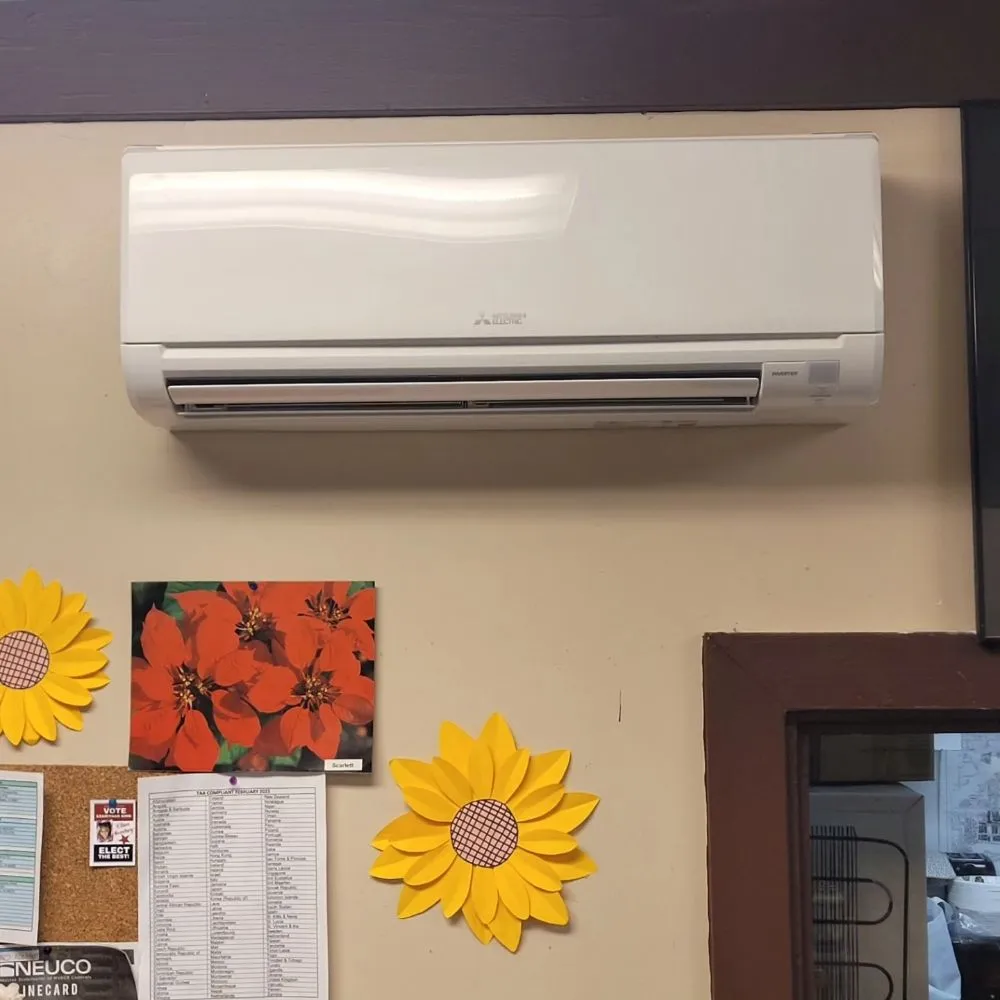 Slide of Delsan AC Service