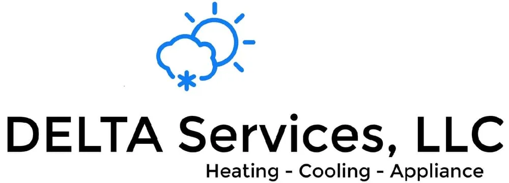 Slide of Delta Services 247