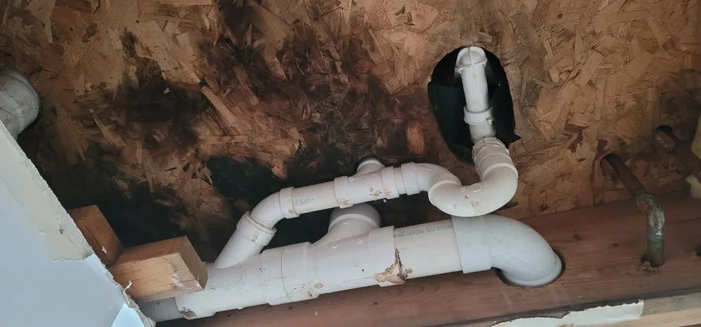 Slide of Delta-Z Enterprise