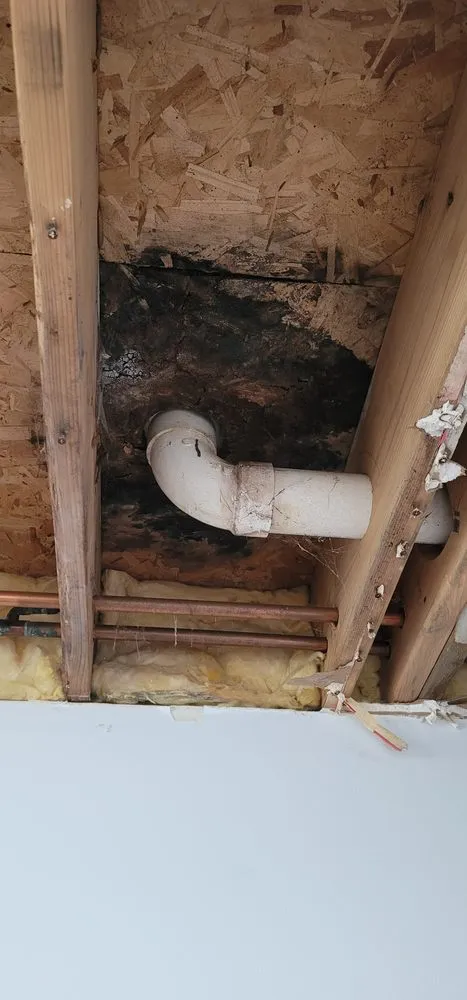 Slide of Delta-Z Enterprise