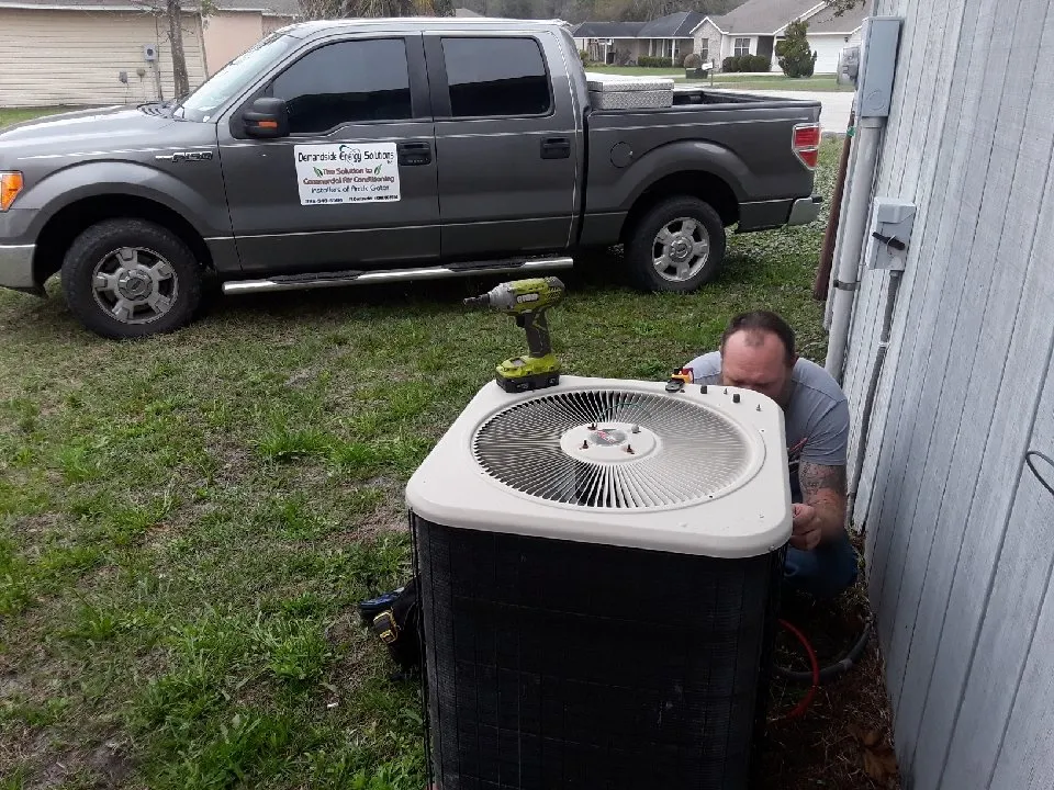 Slide of Demandside Energy Solutions