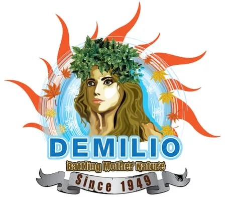 Demilio Inc