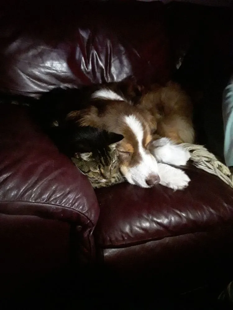 Slide of Dennis Gaebel