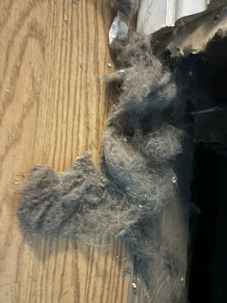 Slide of Denver Ducts