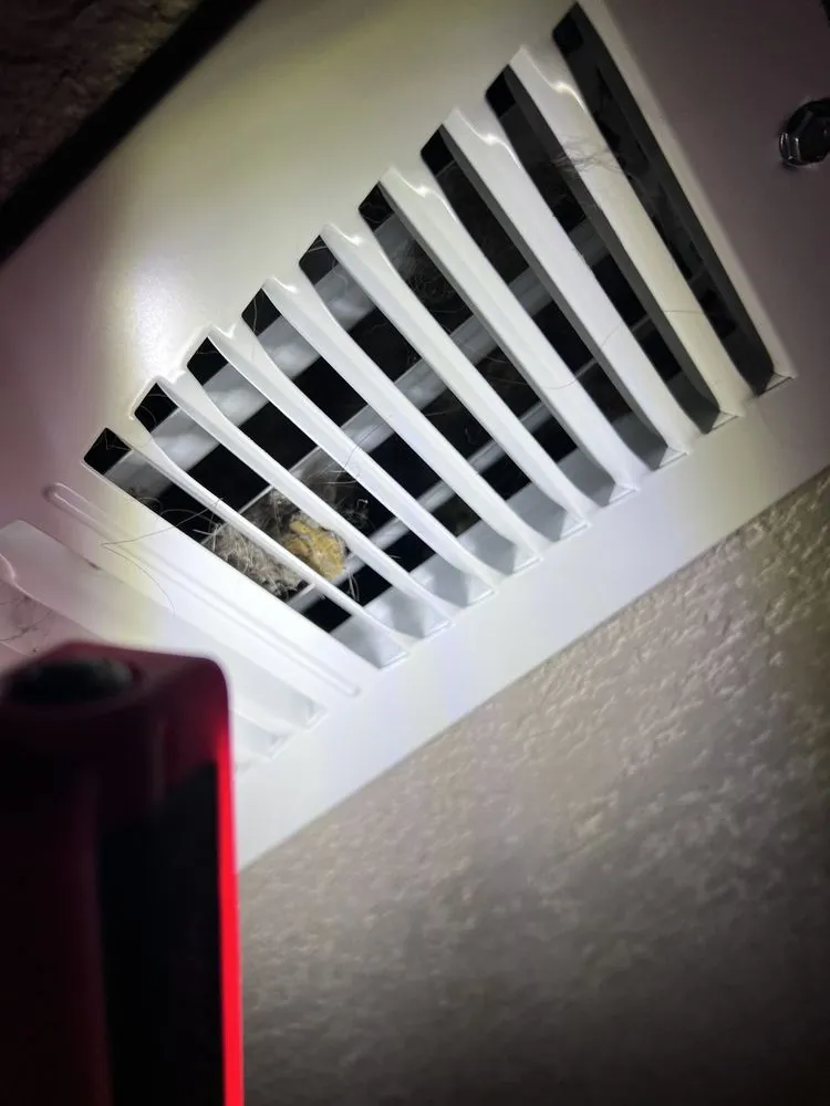 Slide of Denver Ducts