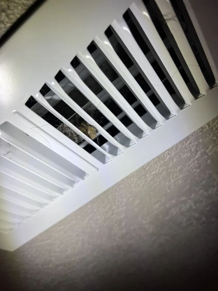 Slide of Denver Ducts