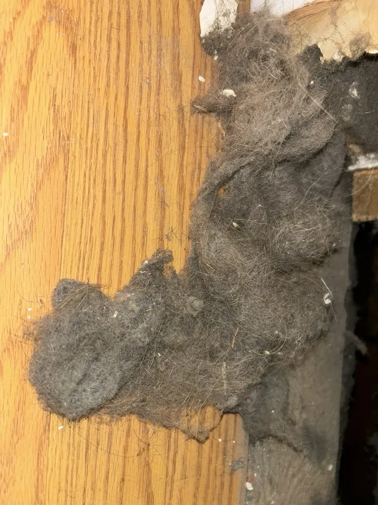 Slide of Denver Ducts