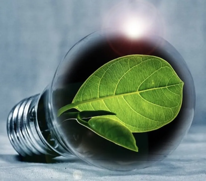 Slide of DeRice Energy