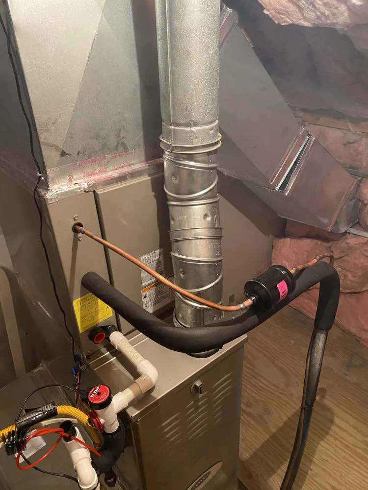 Slide of Descendants Services