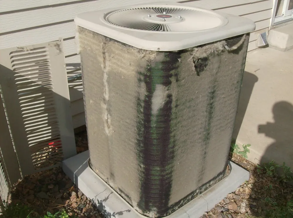 Slide of Desert Diamond Air