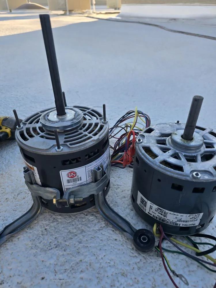 Slide of Desert Freeze