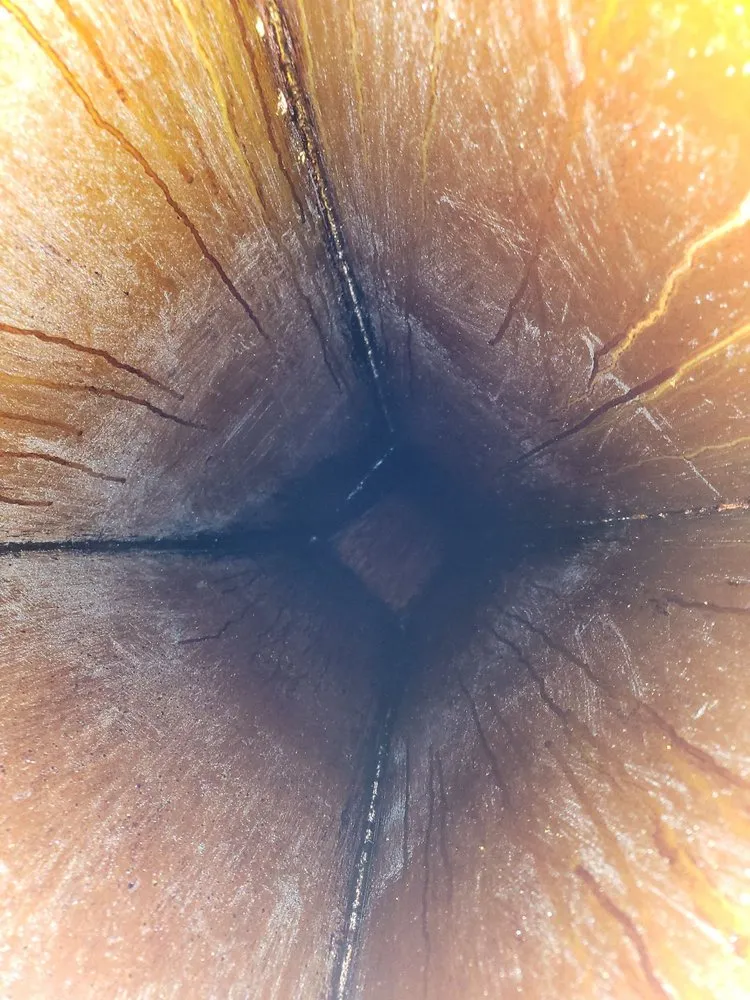 Slide of DGW AC & Kitchen Hood Cleaning Services