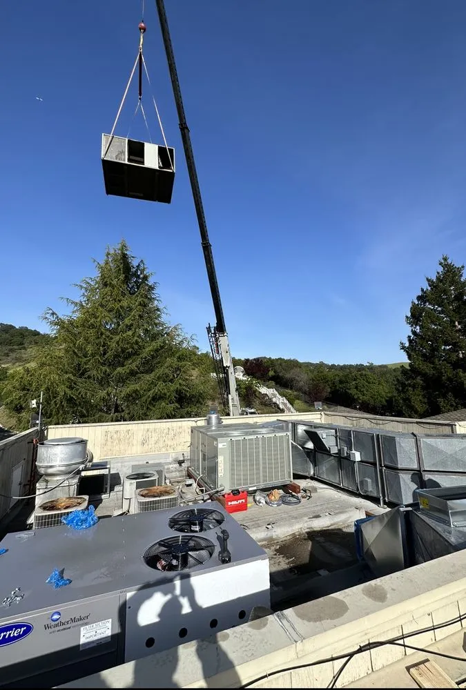 Slide of DHA Mechanical