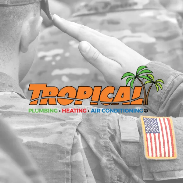 Slide of DialOne Tropical