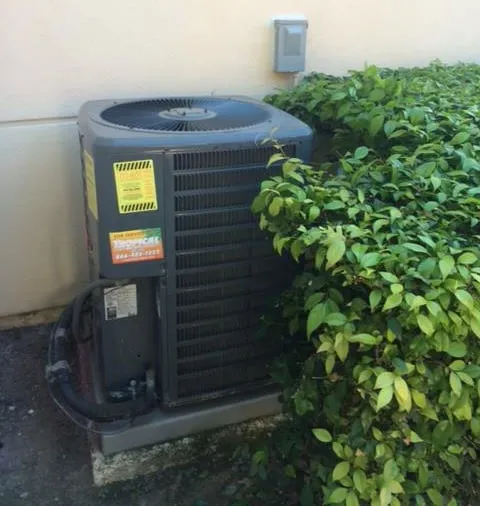 Slide of DialOne Tropical