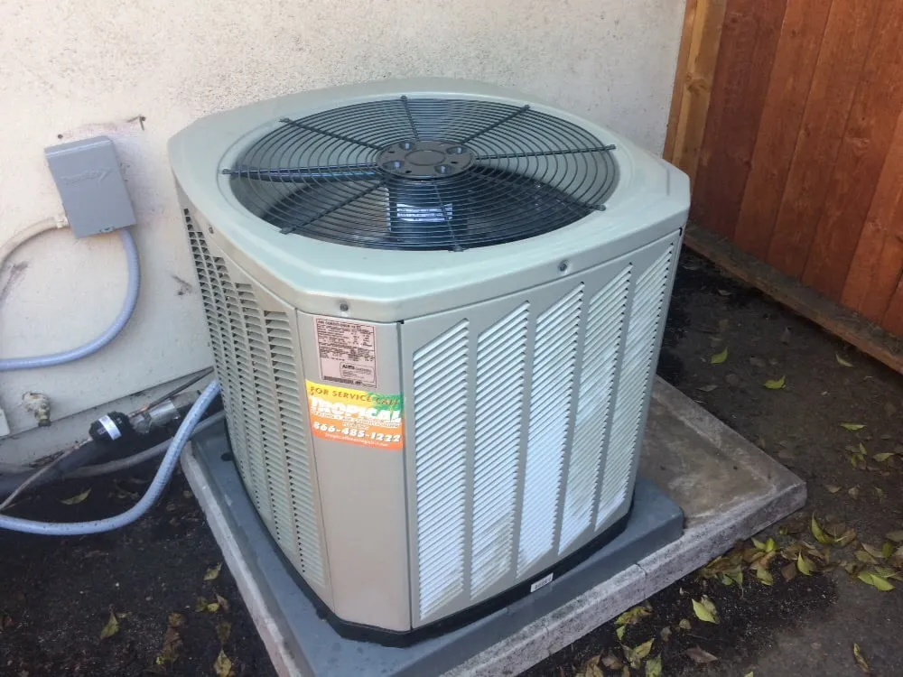 Slide of DialOne Tropical