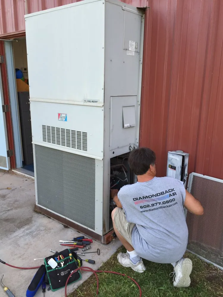 Slide of Diamondback Air