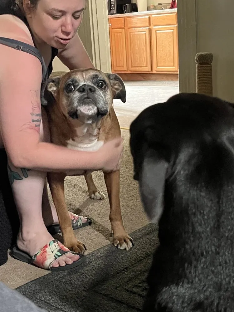 Slide of Dietzen's Heating Air Conditioning & Plumbing