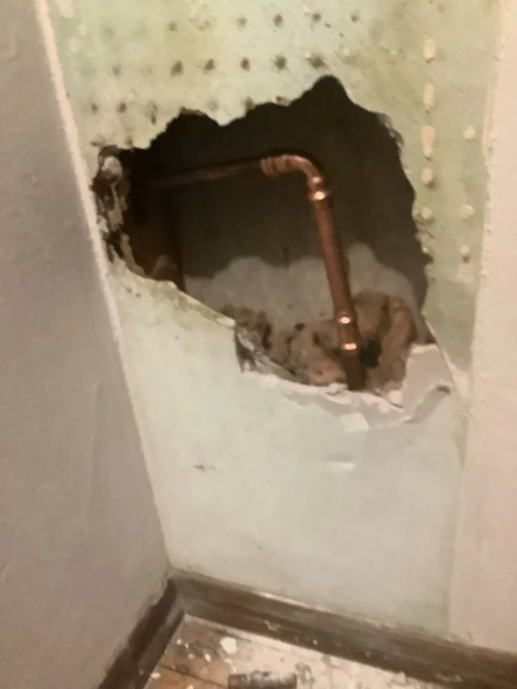 Slide of Diligent Professional Services