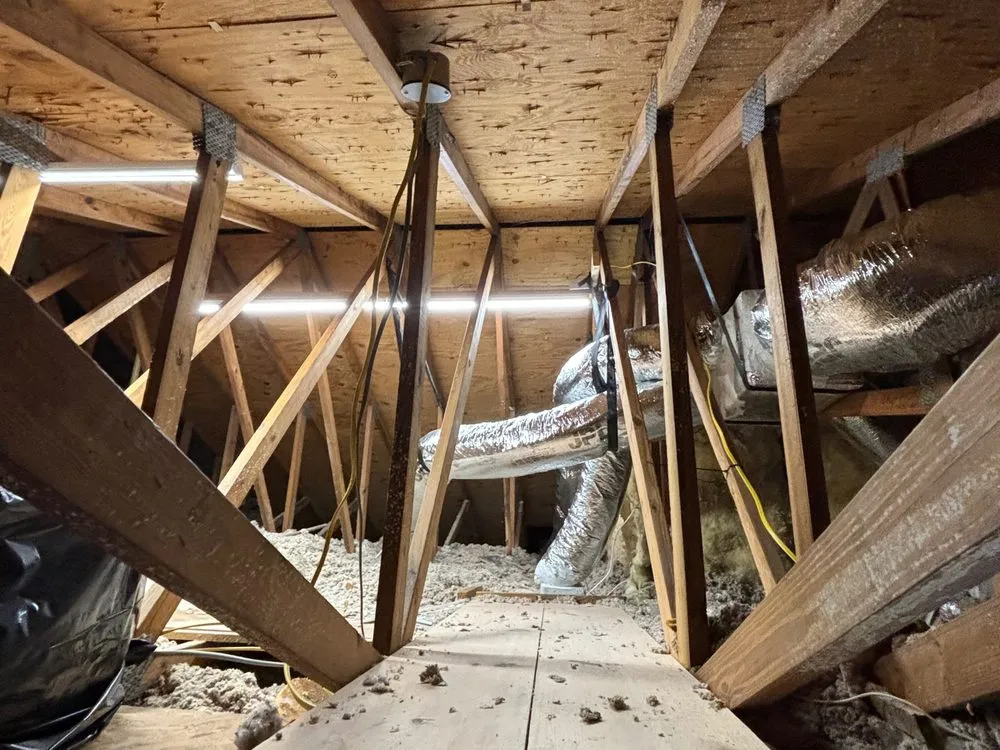 Slide of Dino Air Conditioning & Heating