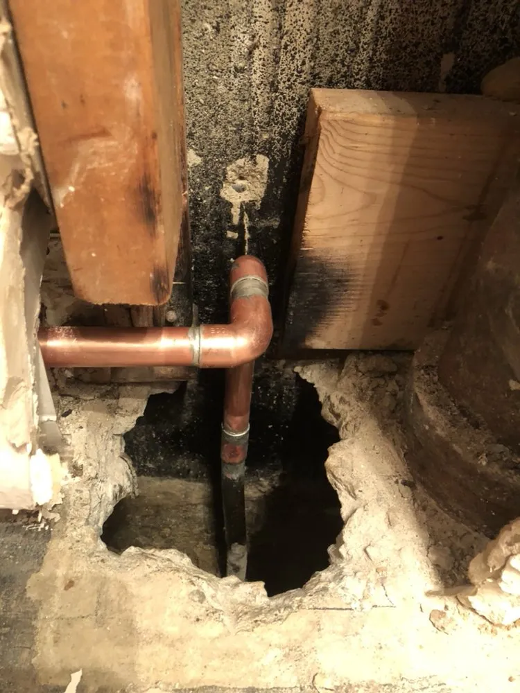 Slide of Dion's Complete