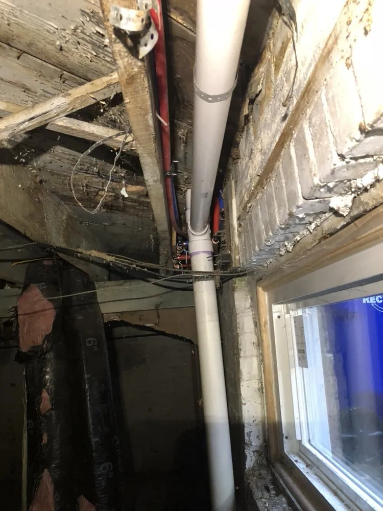 Slide of Dion's Complete