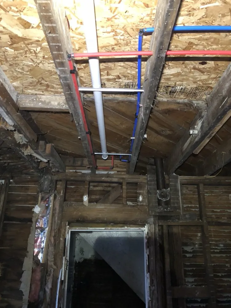 Slide of Dion's Complete