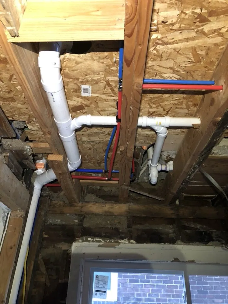 Slide of Dion's Complete