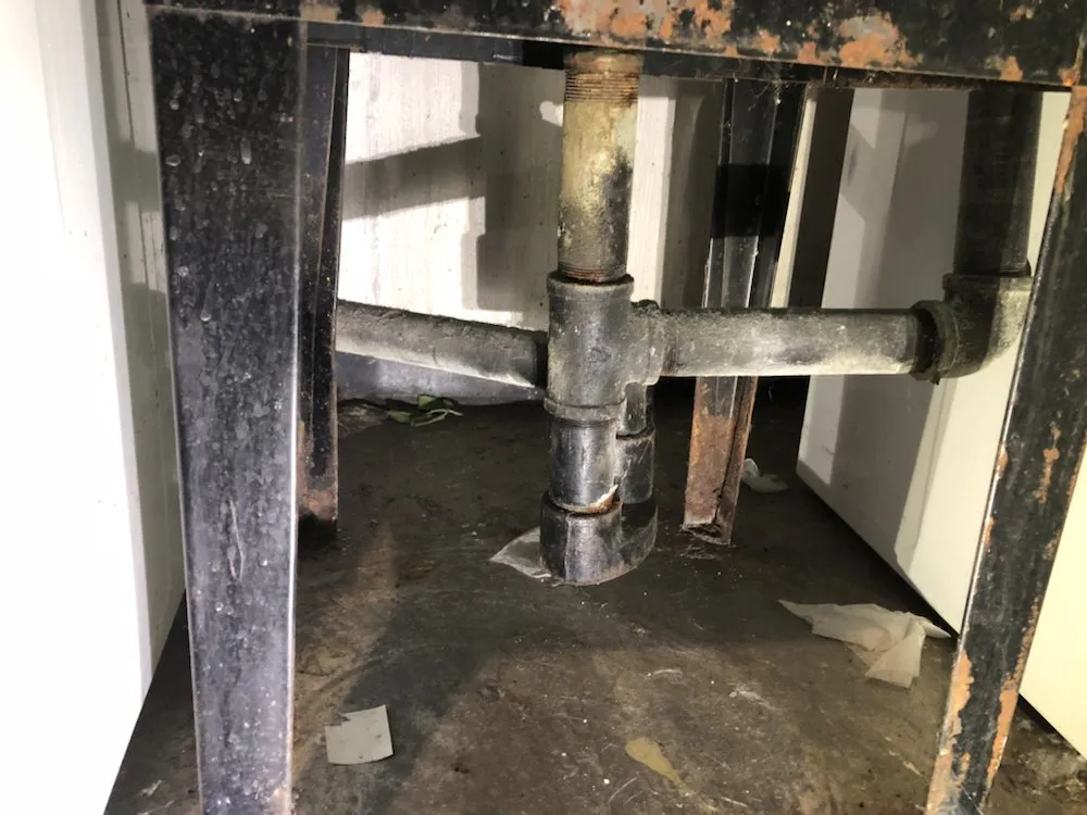 Slide of Dion's Complete