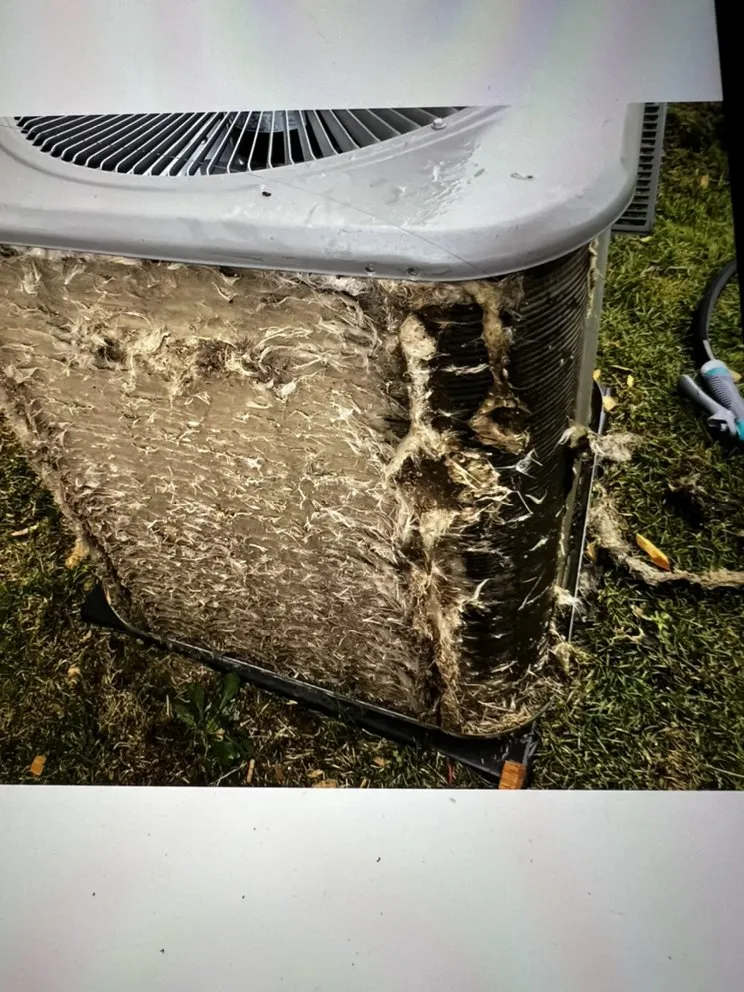 Slide of Dion's Complete