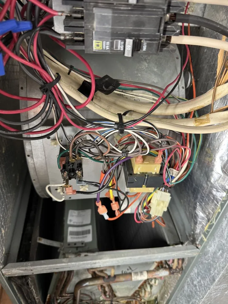 Slide of Dirty Duct Tales