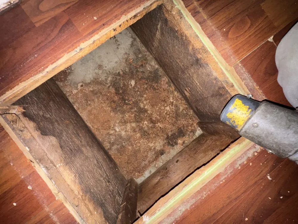 Slide of Dirty Duct Tales