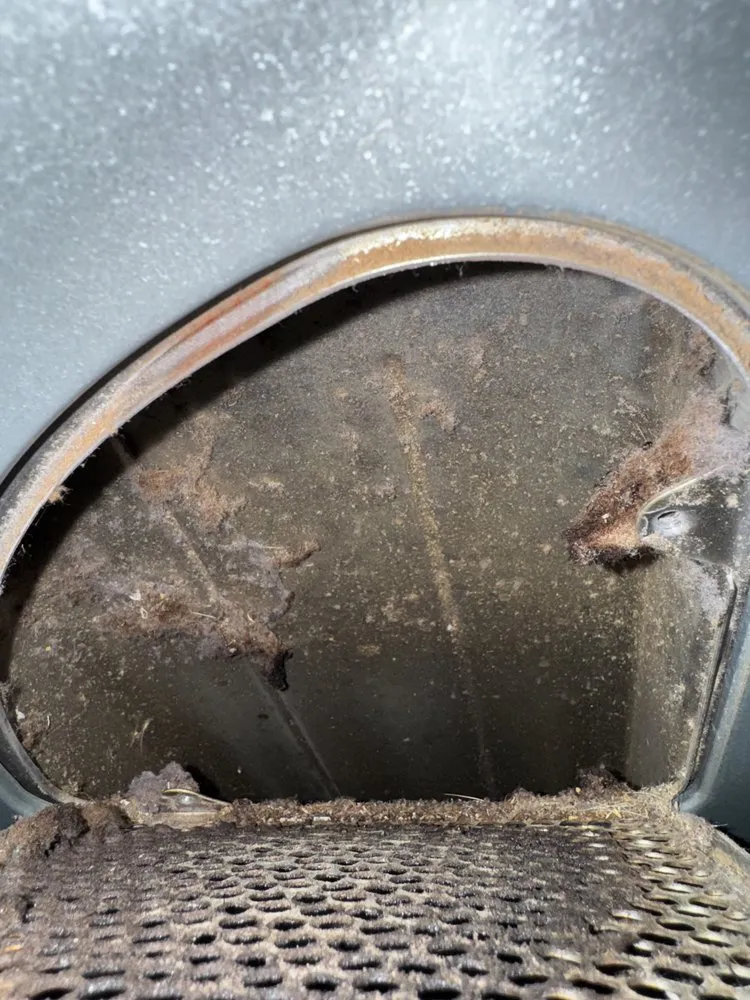 Slide of Dirty Duct Tales