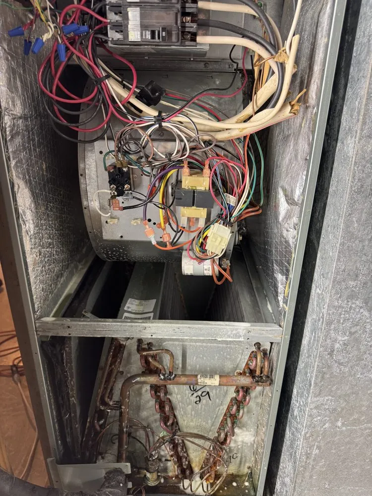 Slide of Dirty Duct Tales