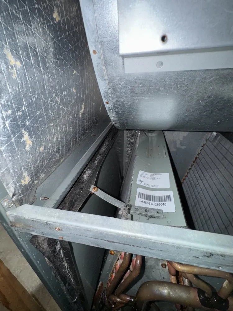 Slide of Dirty Duct Tales