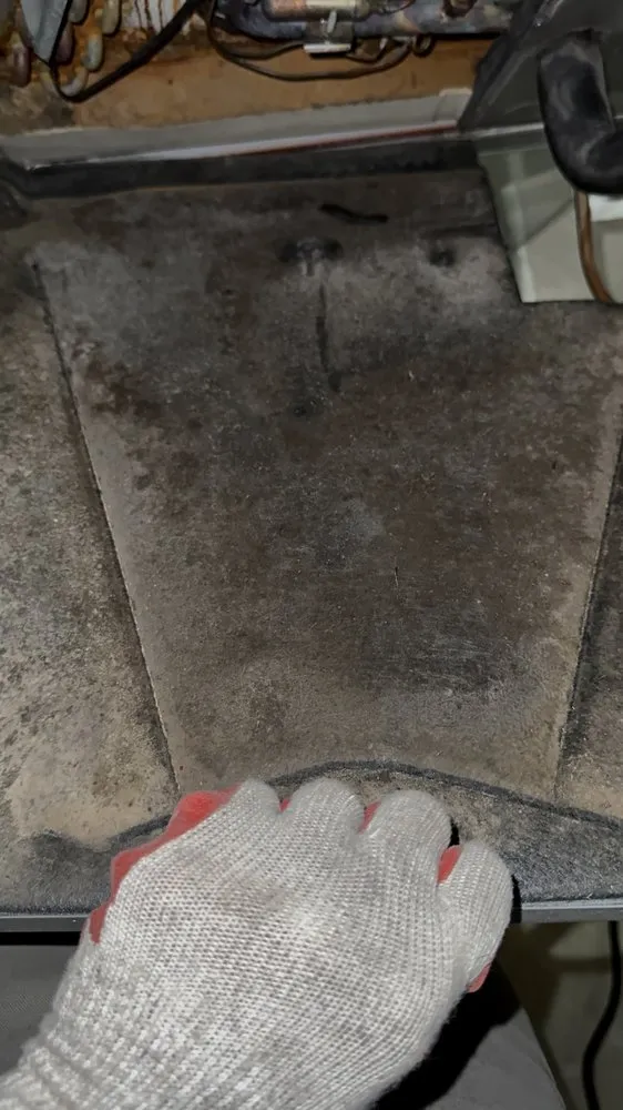 Slide of Dirty Duct Tales