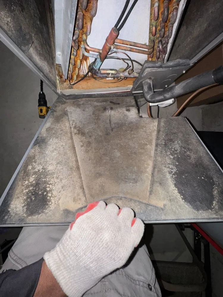 Slide of Dirty Duct Tales