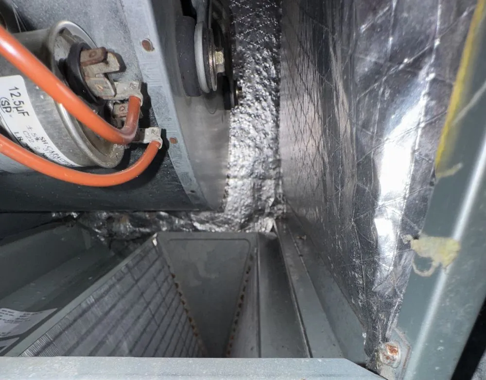 Slide of Dirty Duct Tales