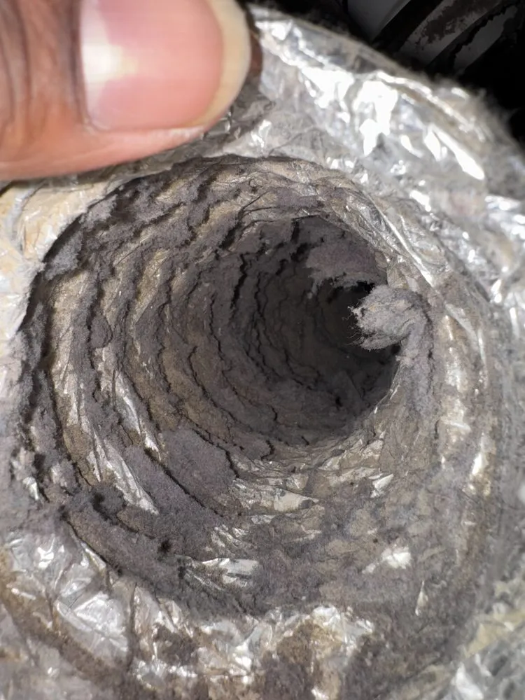 Slide of Dirty Duct Tales