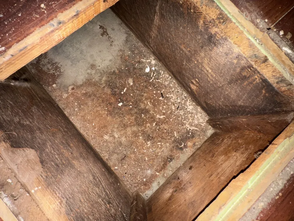 Slide of Dirty Duct Tales