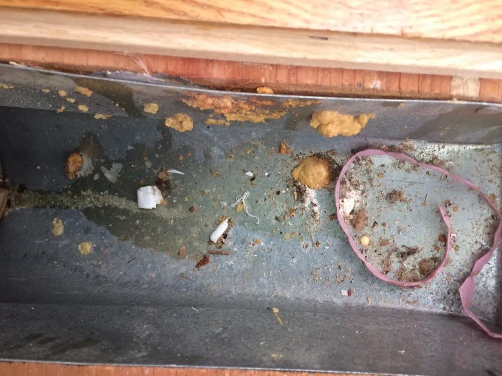 Slide of Discount Duct Cleaners