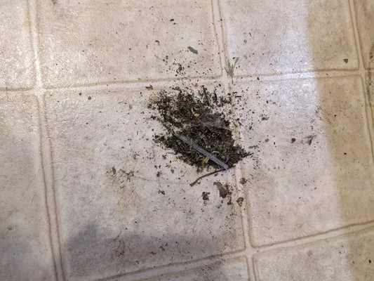 Diversified Heating & Cooling