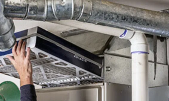 Slide of Diversity Air