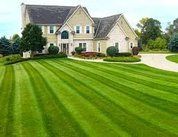 Slide of DiViMa Solutions