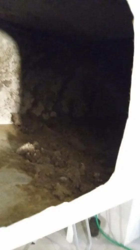 Slide of Divine Intervention