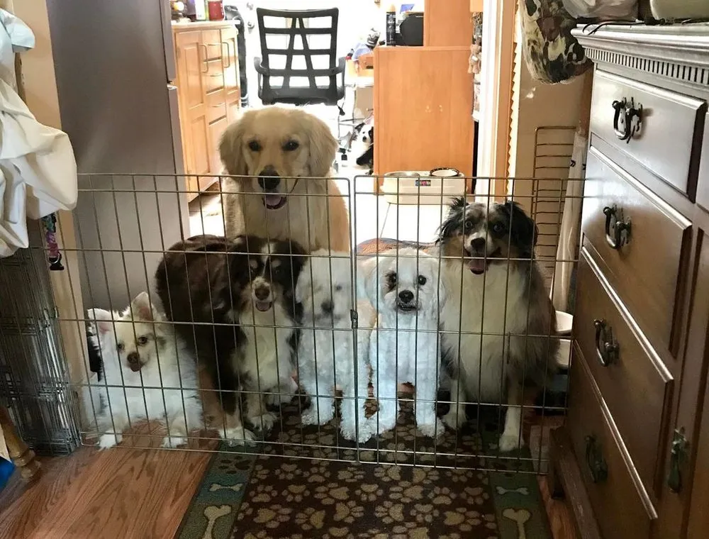 Slide of DL Folsom Air Conditioning & Heating Corp